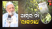 rajnath mango