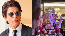 shah-rukh-khan