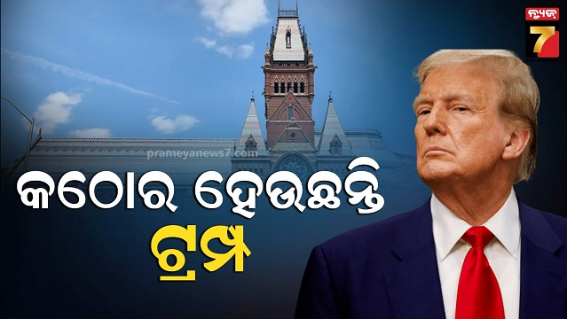 Trump harvard