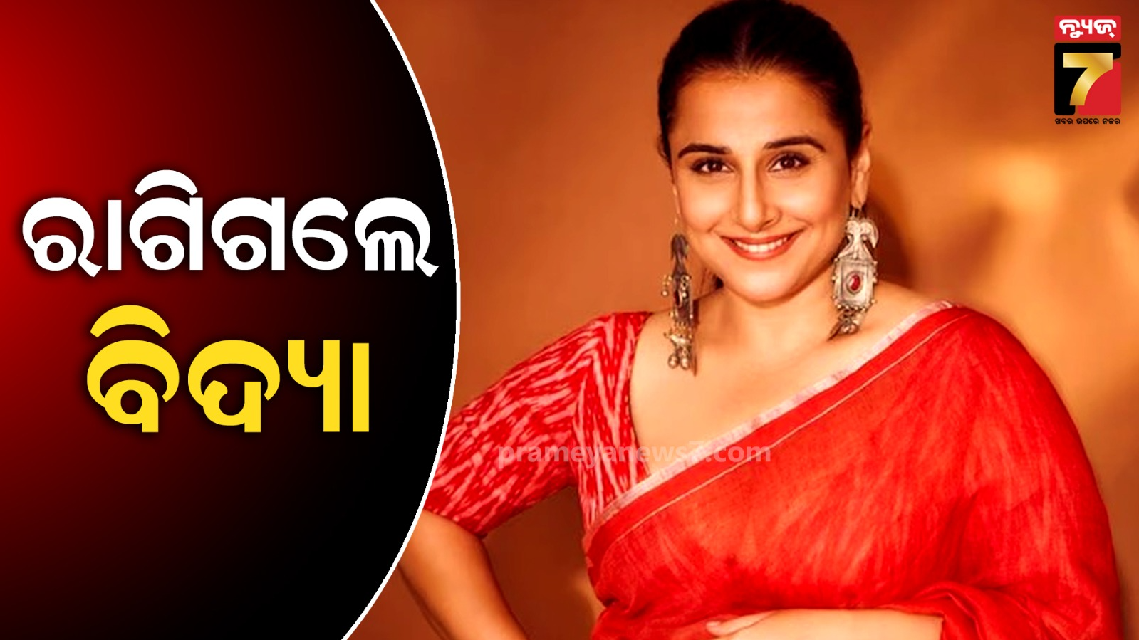 Vidya